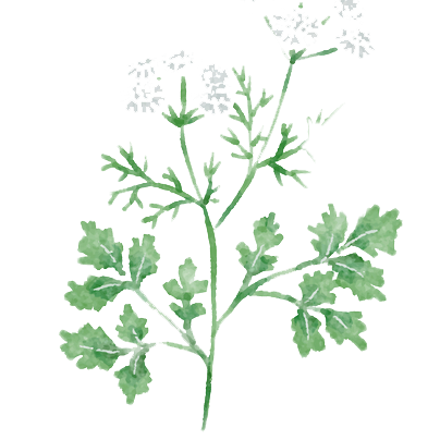 花.2